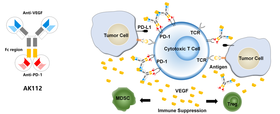 康方生物- Akeso, Inc | SITC 2022速递| PD-1/VEGF双抗AK112临床 康方生物- Akeso, Inc | SITC 2022速递| PD-1/VEGF双抗AK112临床